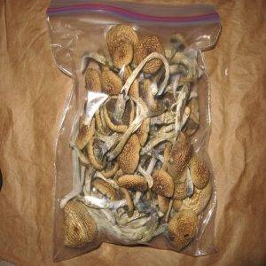 real shrooms